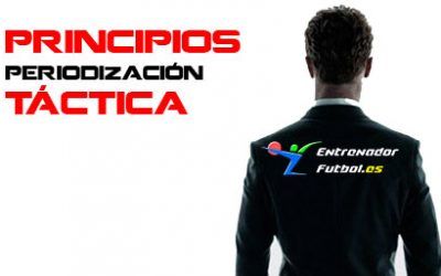 Los principios de la periodización tactica