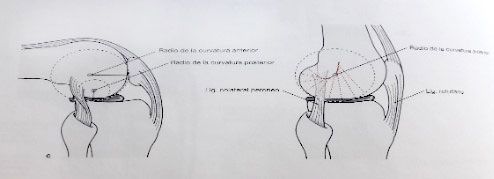 movimiento-de-meniscos